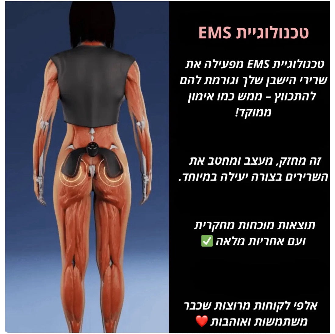 מארז עיצוב הישבן מבית DIVINE